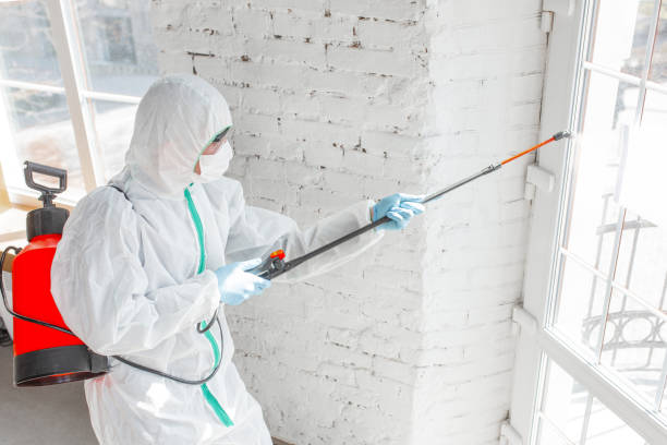 Best Biohazard Mold Removal  in Chestertown, MD